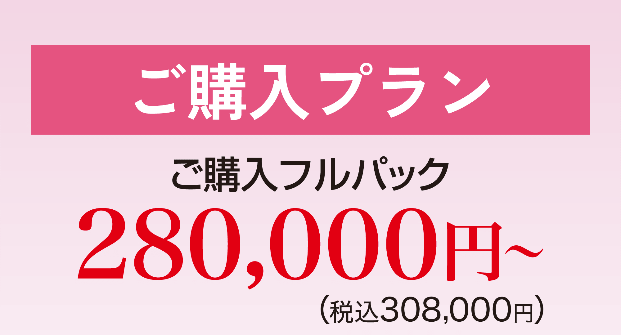 ご購入プラン　ご購入フルパック280,000円〜（税込308,000円） 1日2着コース
